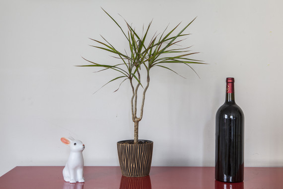 6-detourages-photos-complex